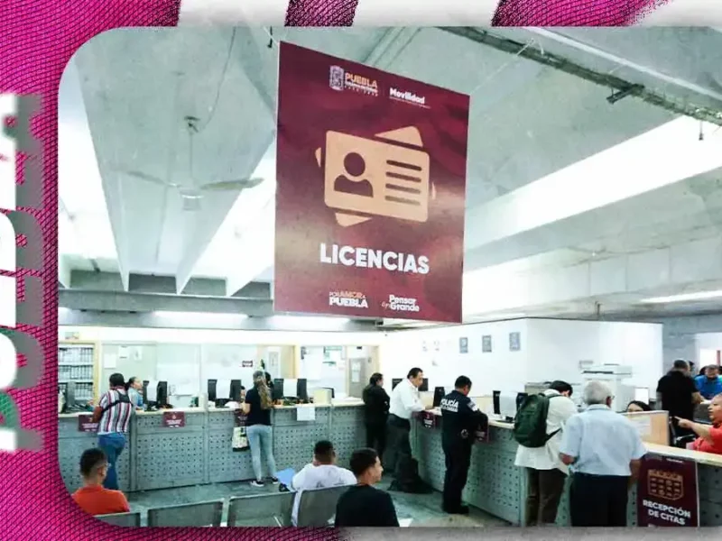 Licencia de conducir en Puebla 2026: Guía oficial y preguntas clave para pasar el examen 
