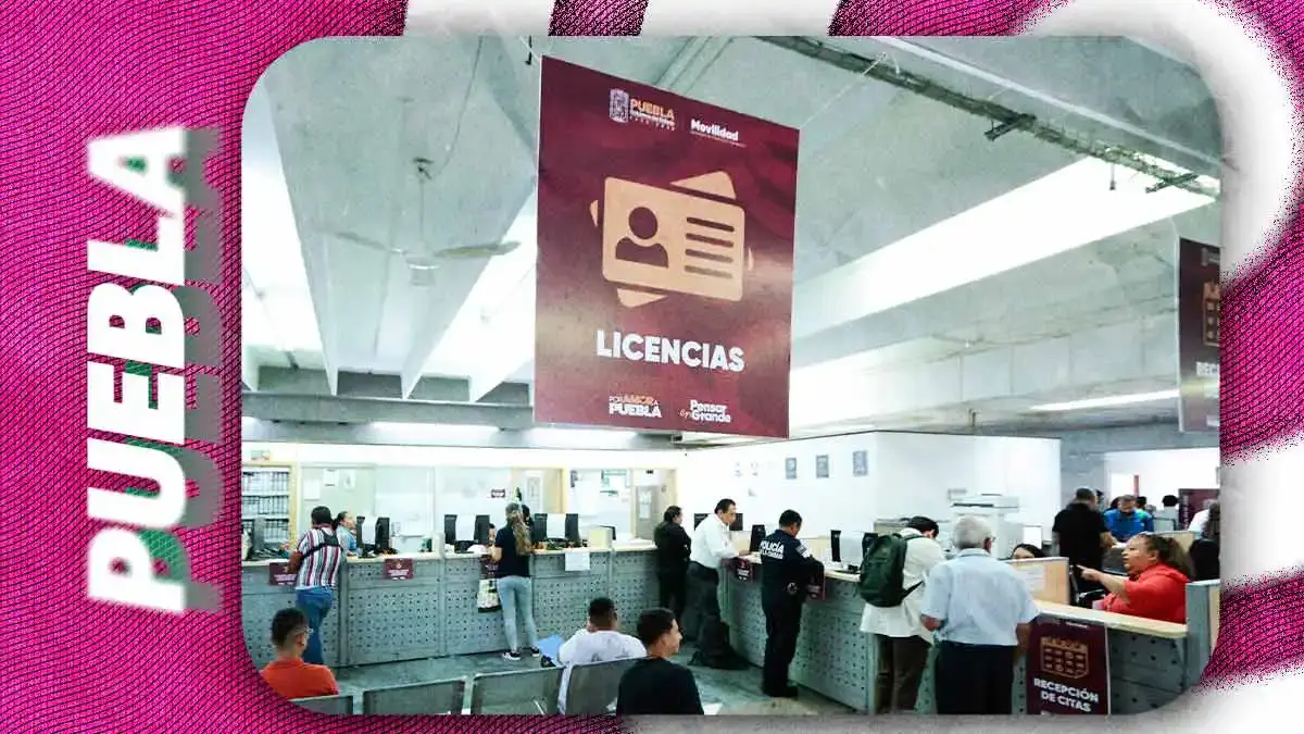 Licencia de conducir en Puebla 2026: Guía oficial y preguntas clave para pasar el examen
