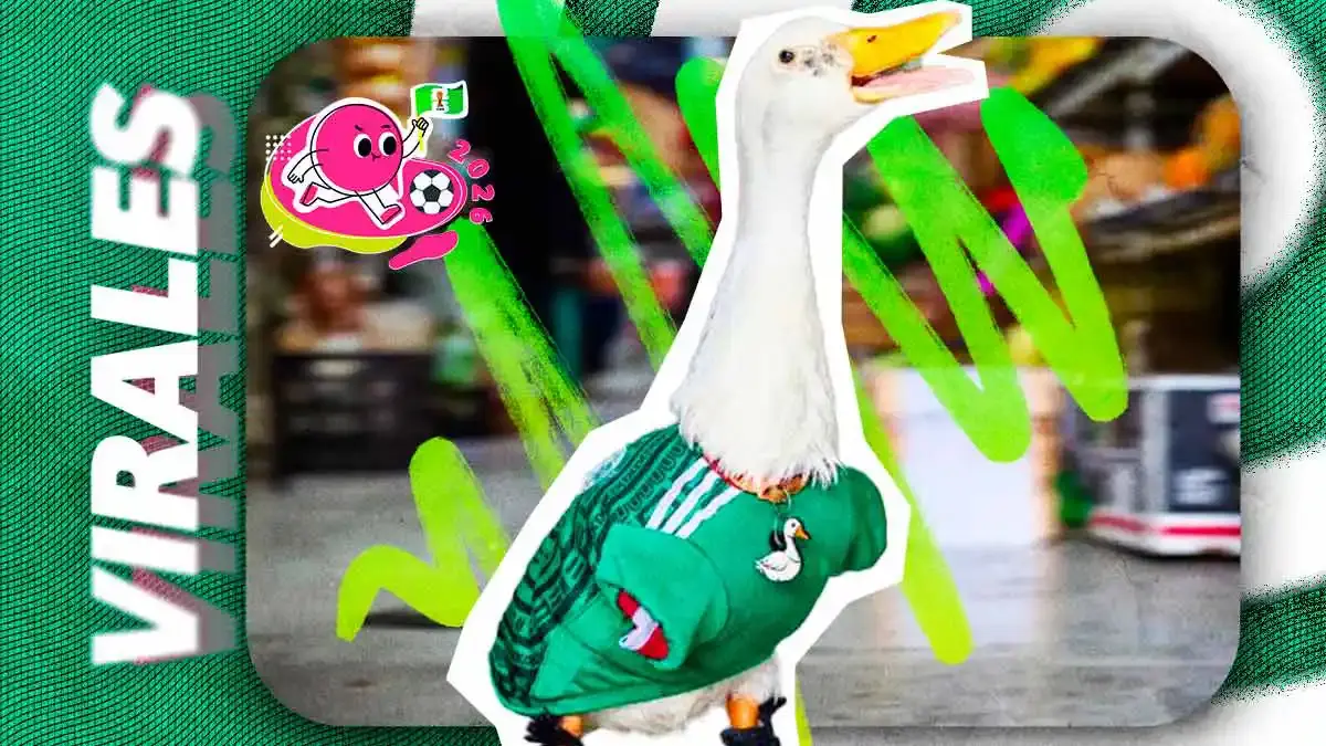 Conoce al Pato Merlin, la mascota no oficial de México en el Mundial 2026