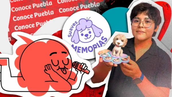 Suaves Memorias inmortaliza mascotas en Puebla mediante la técnica de needle felting