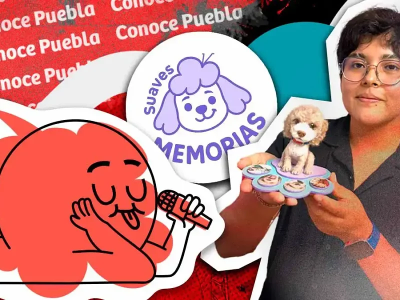 Suaves Memorias inmortaliza mascotas en Puebla mediante la técnica de needle felting