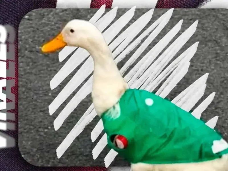 Marcas se cuelgan del pato Merlín sin apoyar a su familia durante el Mundial 2026