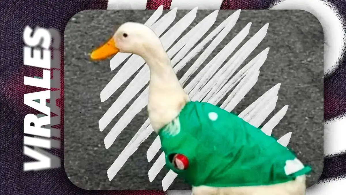 Marcas se cuelgan del pato Merlín sin apoyar a su familia durante el Mundial 2026