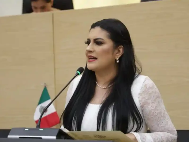 Presenta Delfina Pozos exhorto para construir e implementar una estrategia de seguridad