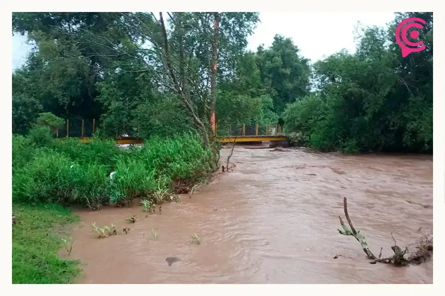 Lluvias causan estragos en Chignahuapan, Puebla; puente dañado, árboles caídos y casas con lodo