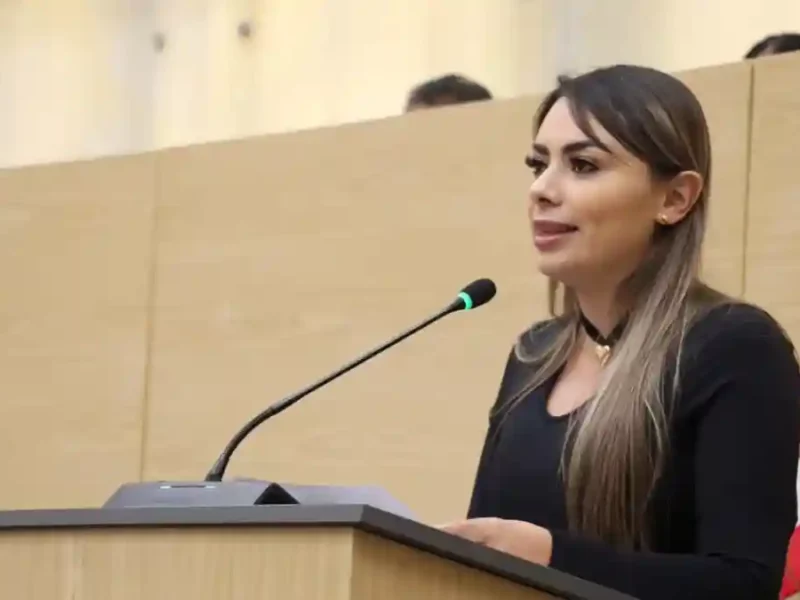 Impulsa diputada María de la Barreda iniciativa contra la conducción riesgosa