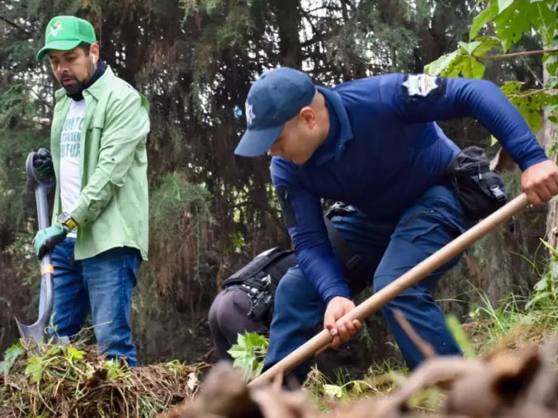 Gobierno de Juan Manuel Alonso fortalece el cuidado ambiental con acciones de reforestación y limpieza