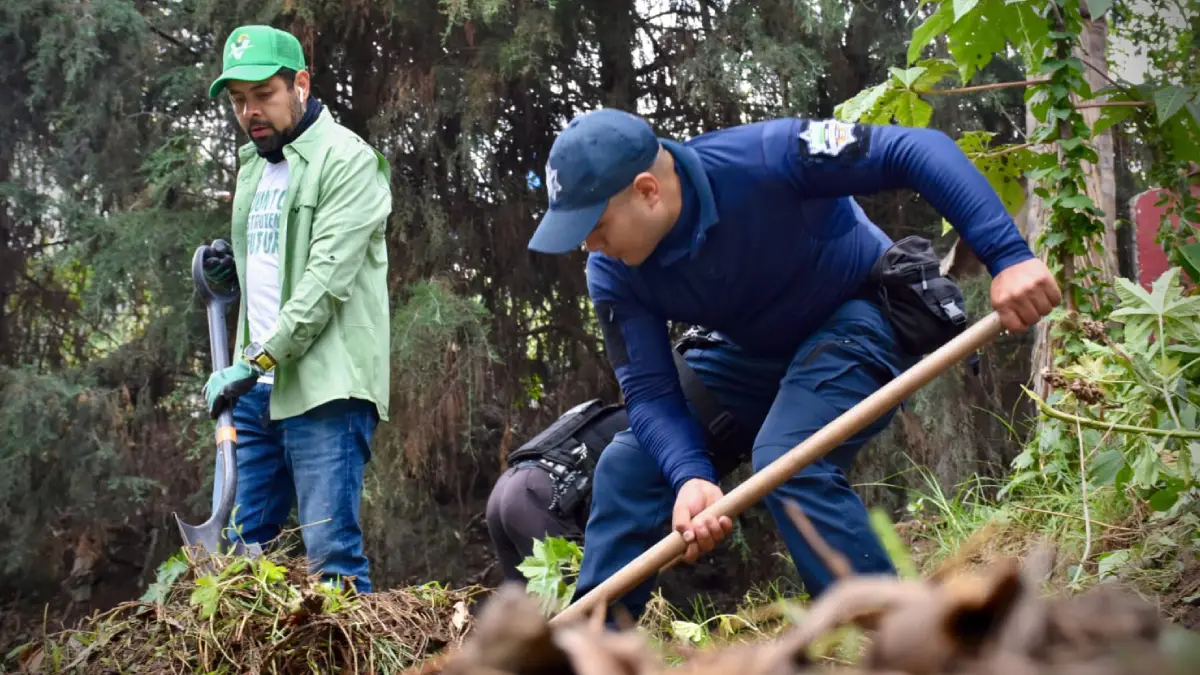 Gobierno de Juan Manuel Alonso fortalece el cuidado ambiental con acciones de reforestación y limpieza