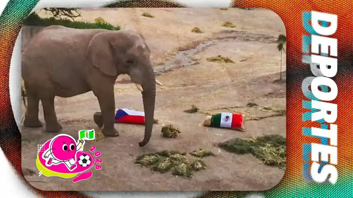 “Alineación Salvaje” de Africam Safari anticipa victoria de México vs Chequia en Mundial 2026