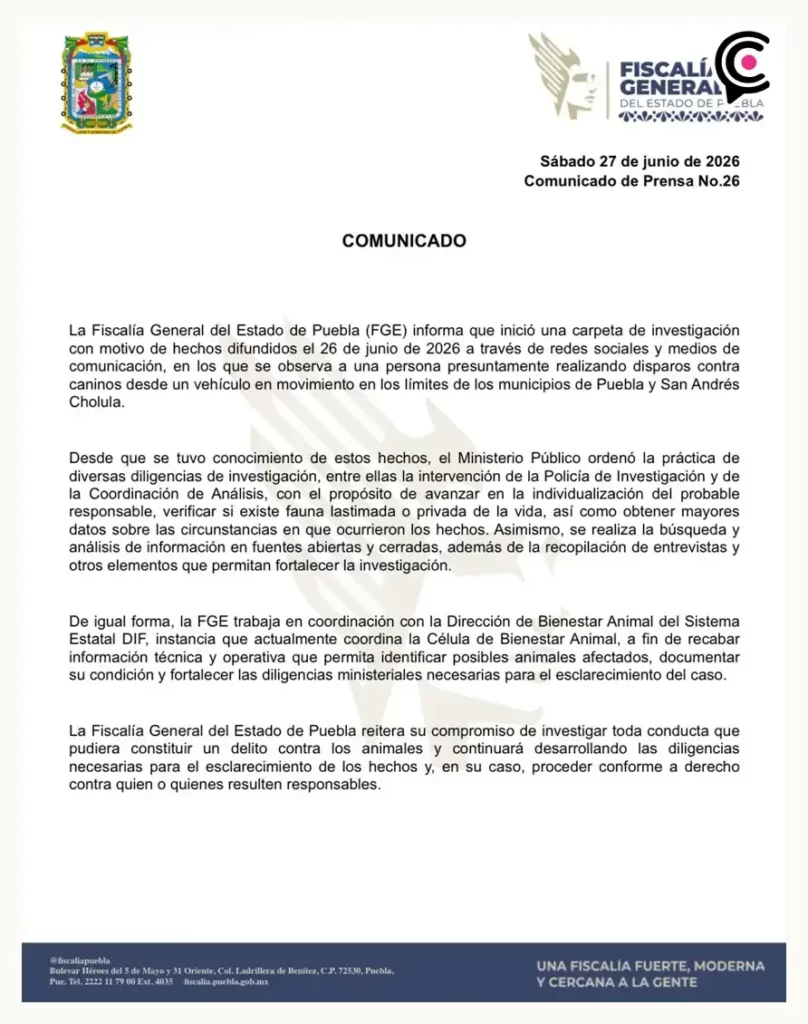¿Es el “Tirador de Atlixcáyotl”? FGE busca a conductor que balea perros desde camioneta en Cholula 
