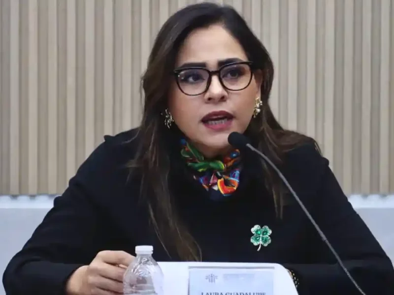 Congreso del Estado dará seguimiento a la concesión de parabuses: Guadalupe Vargas