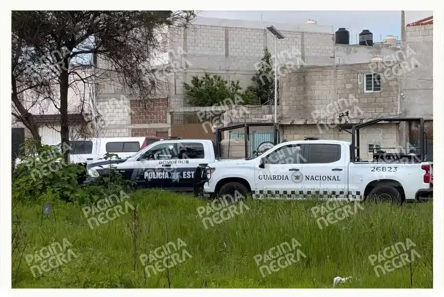 Fiscalía de Puebla realiza excavaciones en Aparicio por desaparición de Betzabé Alvarado y Fabiola Narváez