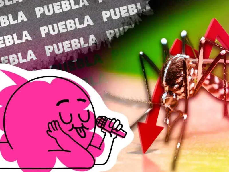 Disminuyen casos de dengue en Puebla hasta julio 2026; expertos piden mantener medidas