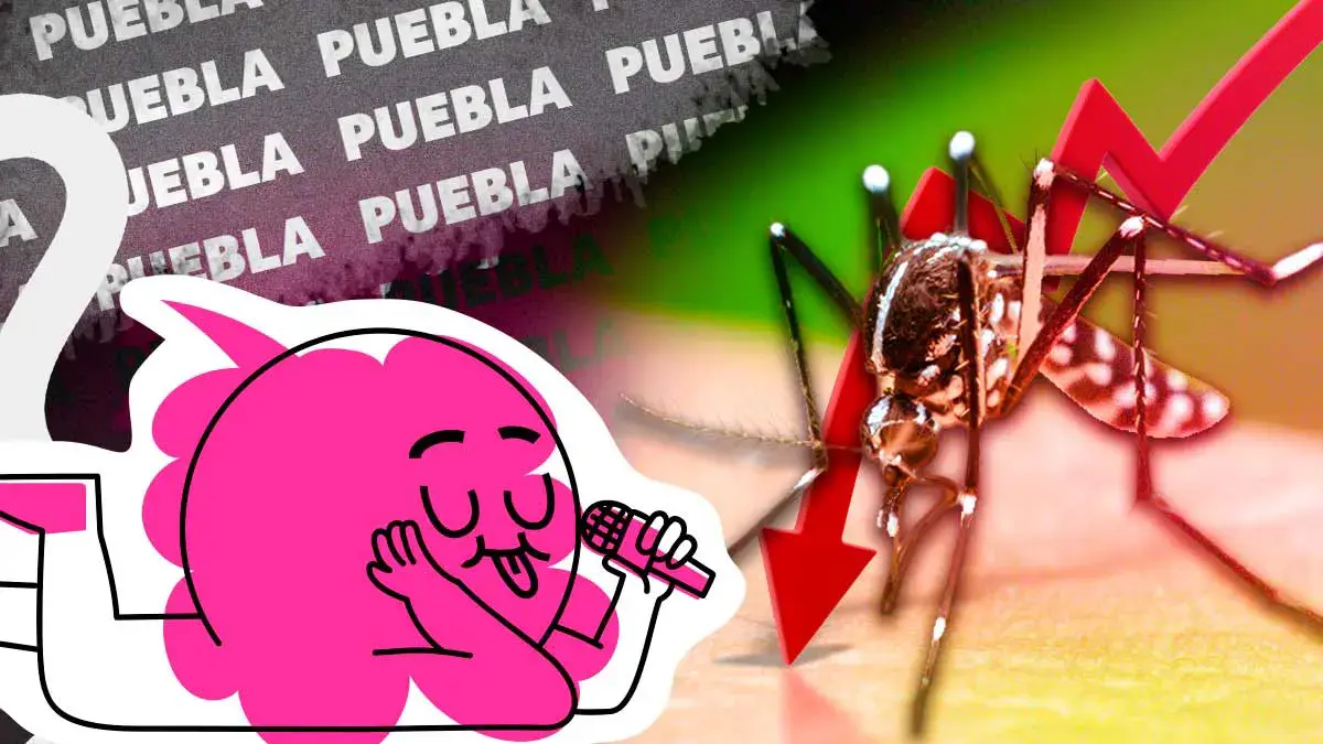 Disminuyen casos de dengue en Puebla hasta julio 2026; expertos piden mantener medidas