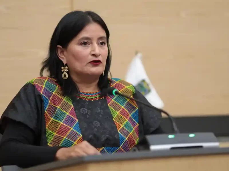 Impulsa diputada Esther Martínez iniciativa para garantizar consulta previa a personas con discapacidad en Puebla