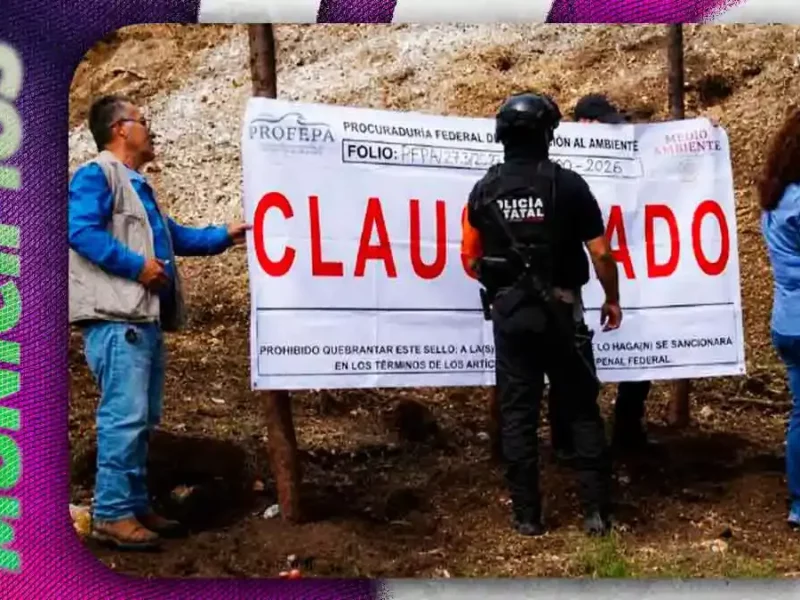 Clausuran mina ilegal en Zacatlán ligada a “El Moco”; Profepa frena grave ecocidio