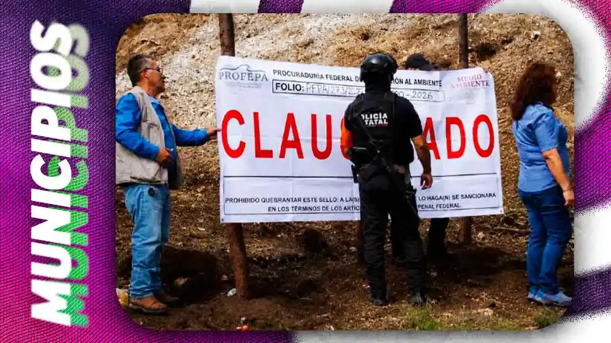 Clausuran mina ilegal en Zacatlán ligada a “El Moco”; Profepa frena grave ecocidio