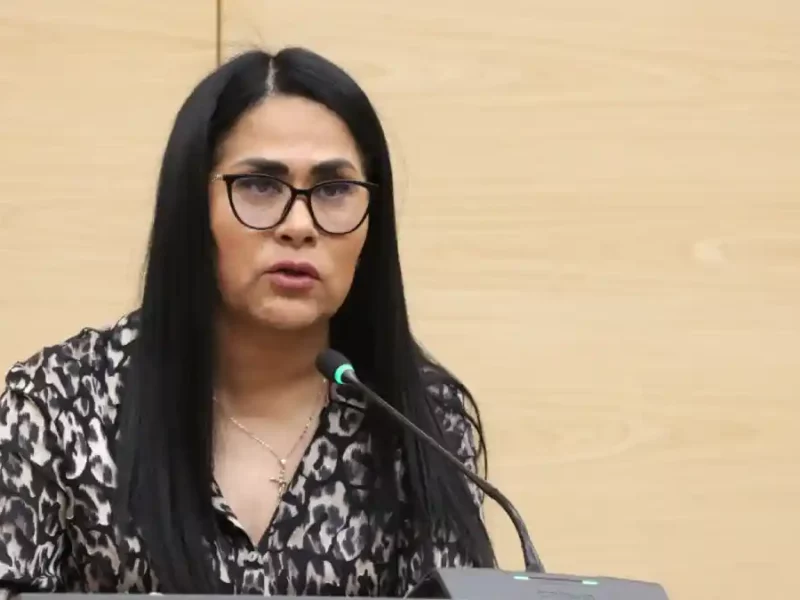 Plantea Fedrha Suriano anulación de elecciones en caso de homicidio doloso de una persona candidata