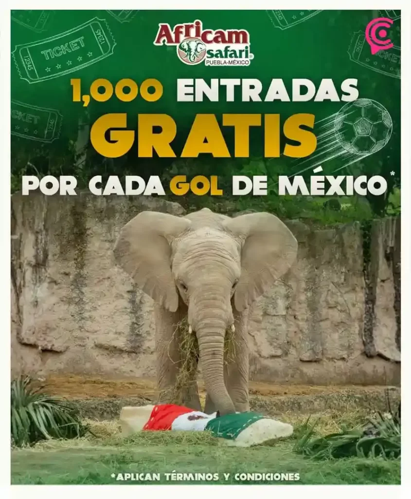 Africam Safari Puebla regalará mil accesos gratuitos por cada gol de México contra Inglaterra