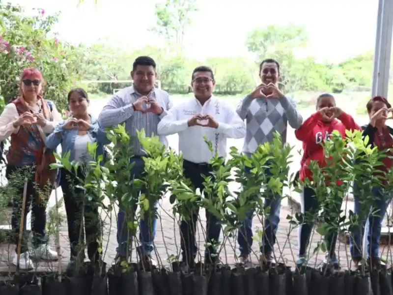 Diputado Pável Gaspar promueve jornadas de reforestación en San Juan Epatlán y Chiautla de Tapia