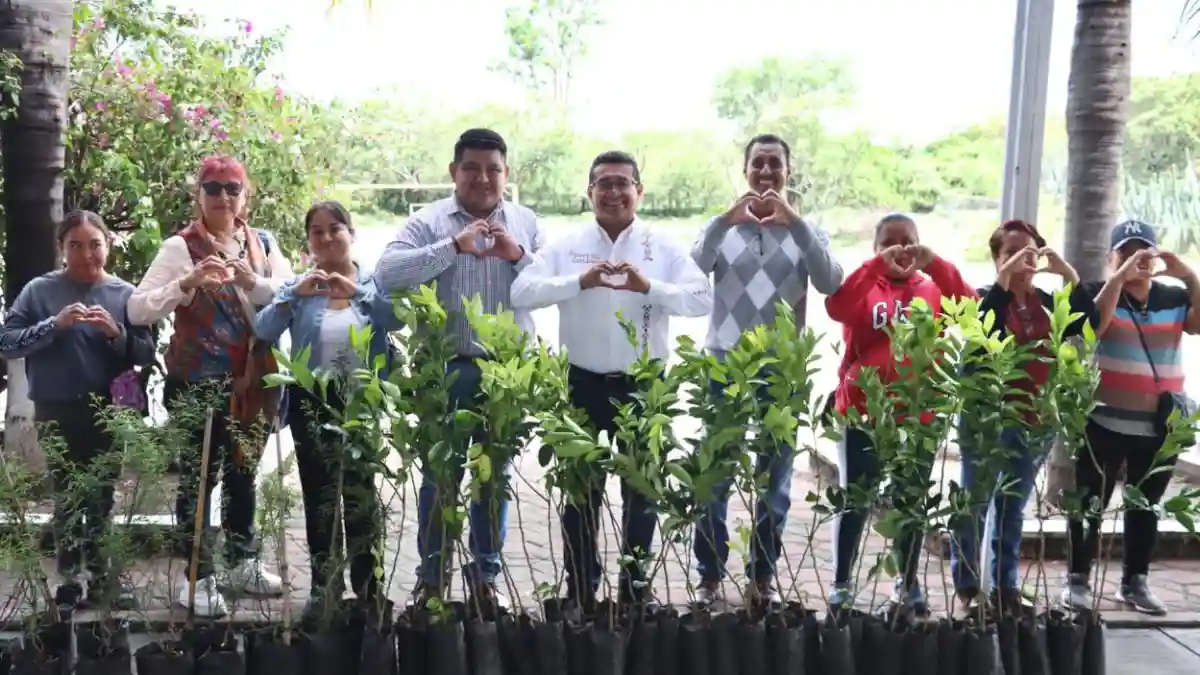 Diputado Pável Gaspar promueve jornadas de reforestación en San Juan Epatlán y Chiautla de Tapia