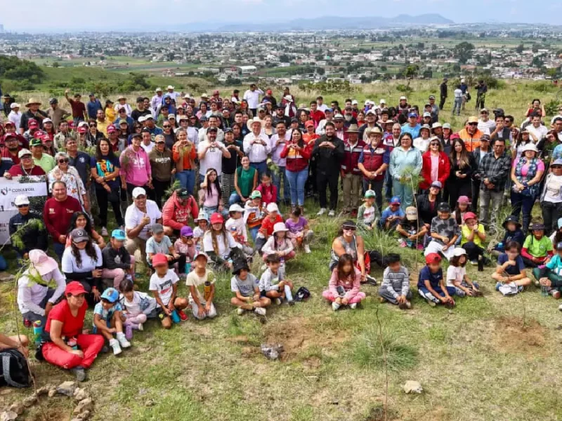 Impulsa Tonantzin Fernández acciones permanentes de reforestación en el Cerro Zapotecas