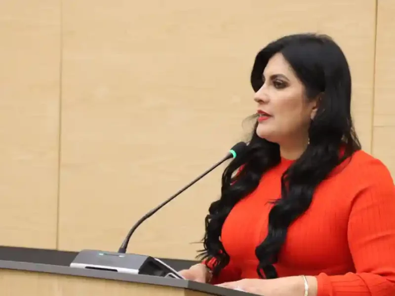 Propone Delfina Pozos sancionar la simulación de delitos