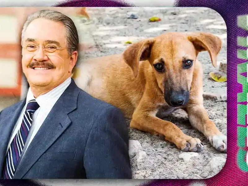 Pedro Sola desata polémica por comentario sobre envenenar perros: “No los tolero”
