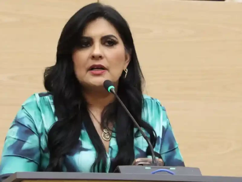 Plantea Delfina Pozos acciones de prevención de riesgos por ductos e instalaciones de hidrocarburos y gas