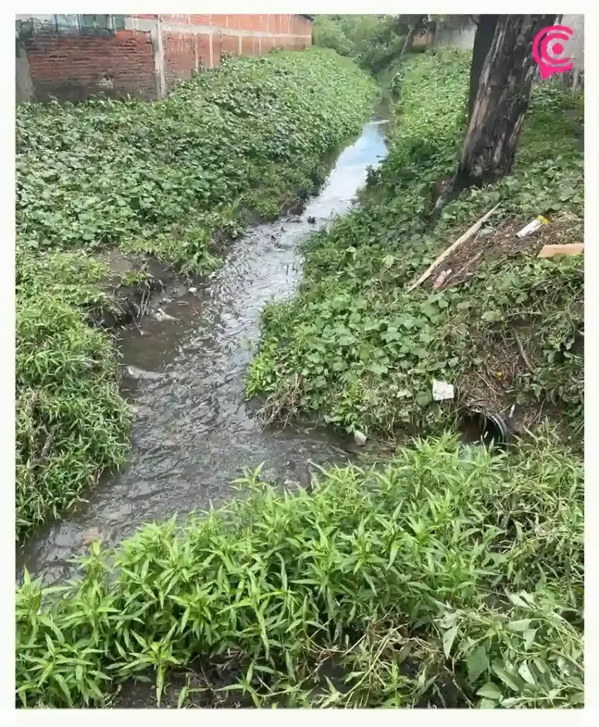 Locatarios de Plaza Comercial Zavaleta denuncian daños y abandono de alcantarillado tras lluvias en Puebla
