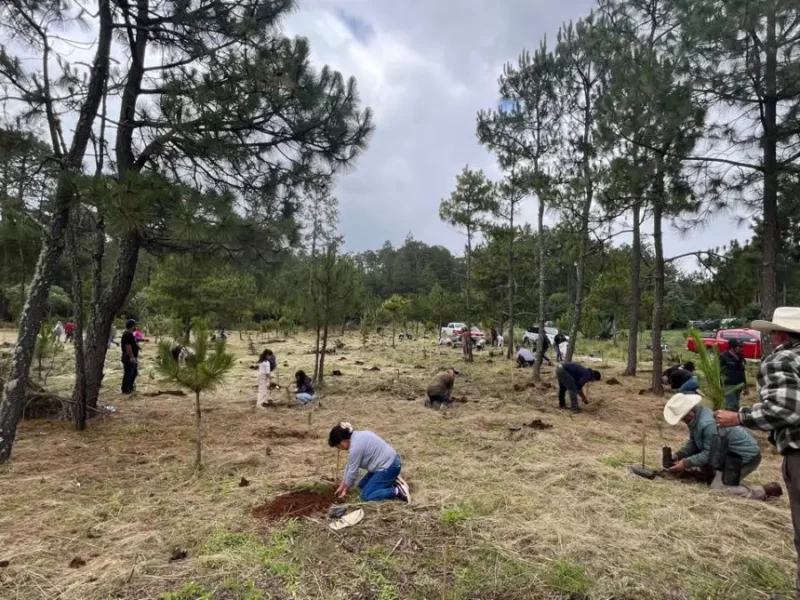 AgendaZacatlánSustentable: Ayuntamiento encabeza reforestación en Metepec