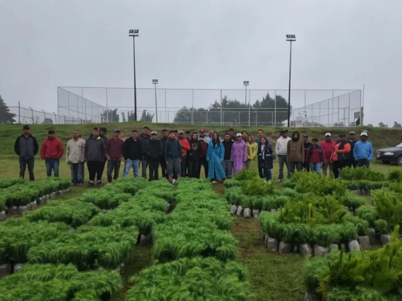Así van los preparativos para la temporada de reforestación estratégica en Zacatlán