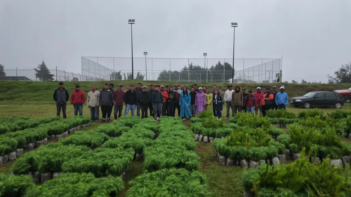Así van los preparativos para la temporada de reforestación estratégica en Zacatlán