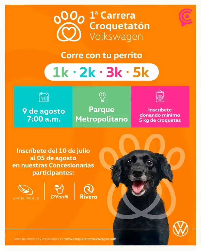 Volkswagen México lanza el primer Croquetatón en Parque Metropolitano de Puebla; distancias, requisitos y registro