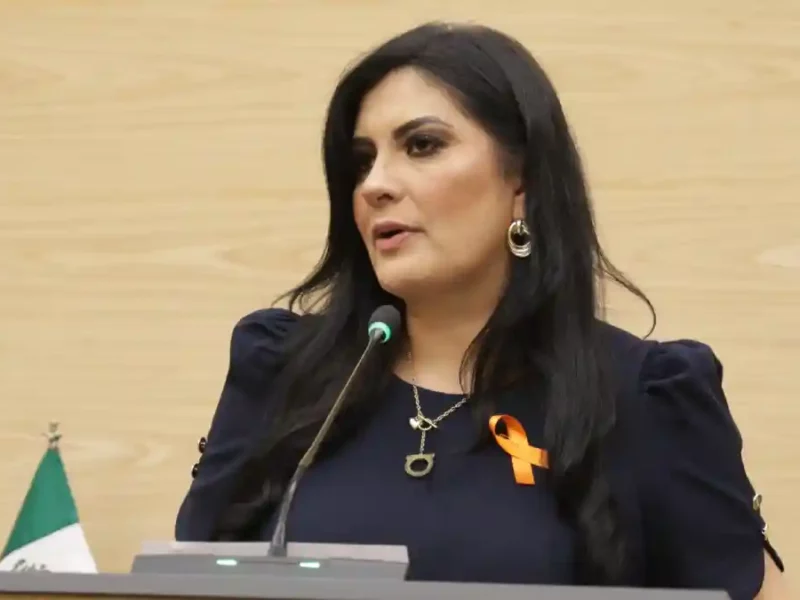 Plantea Delfina Pozos que prestadores de servicios de agua y alcantarillado asuman el costo por daños a la vía pública