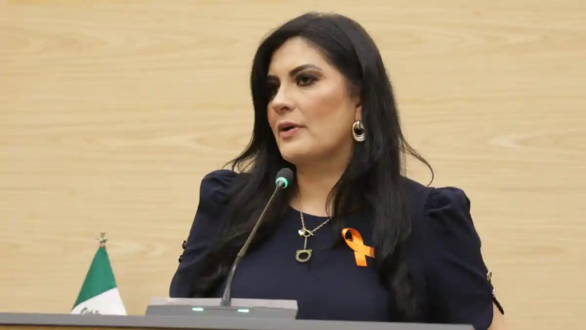 Plantea Delfina Pozos que prestadores de servicios de agua y alcantarillado asuman el costo por daños a la vía pública