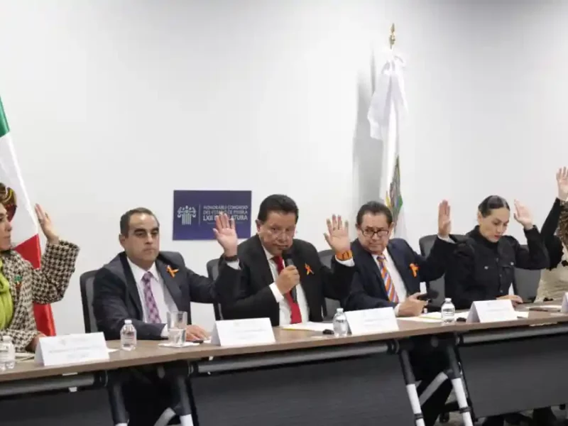 Impulsa Comisión de Desarrollo Económico acciones para mejorar atención de los servicios de la CFE