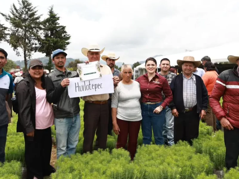 Zacatlán es ejemplo estatal en reforestación y sustentabilidad: Gobierno del Estado