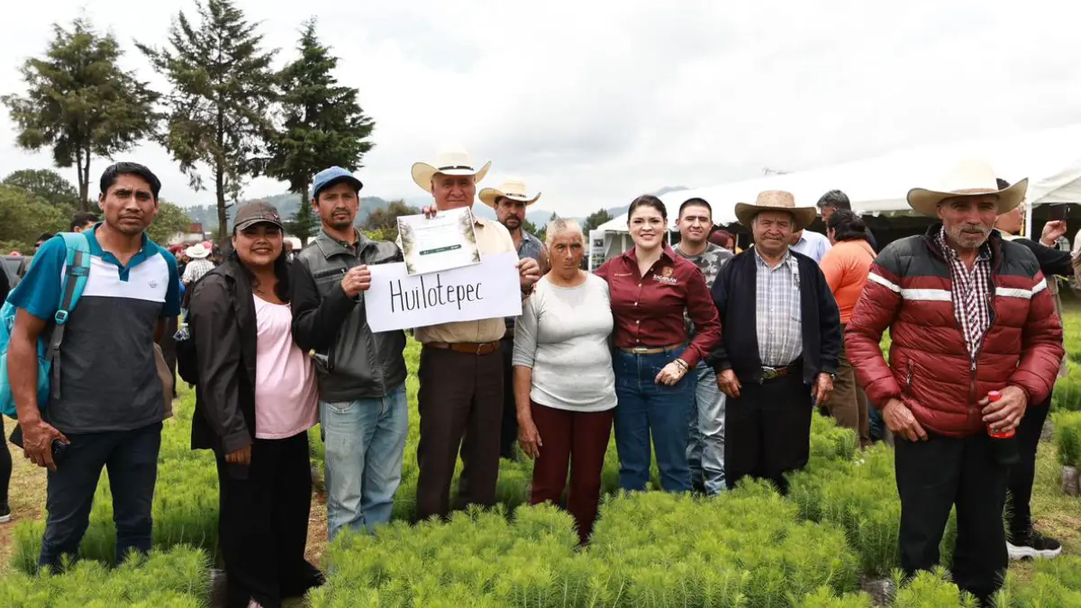 Zacatlán es ejemplo estatal en reforestación y sustentabilidad: Gobierno del Estado