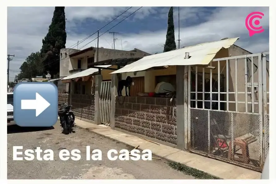Denuncian abandono extremo de perros y venta ilegal de sus crías en Tecamachalco, Puebla