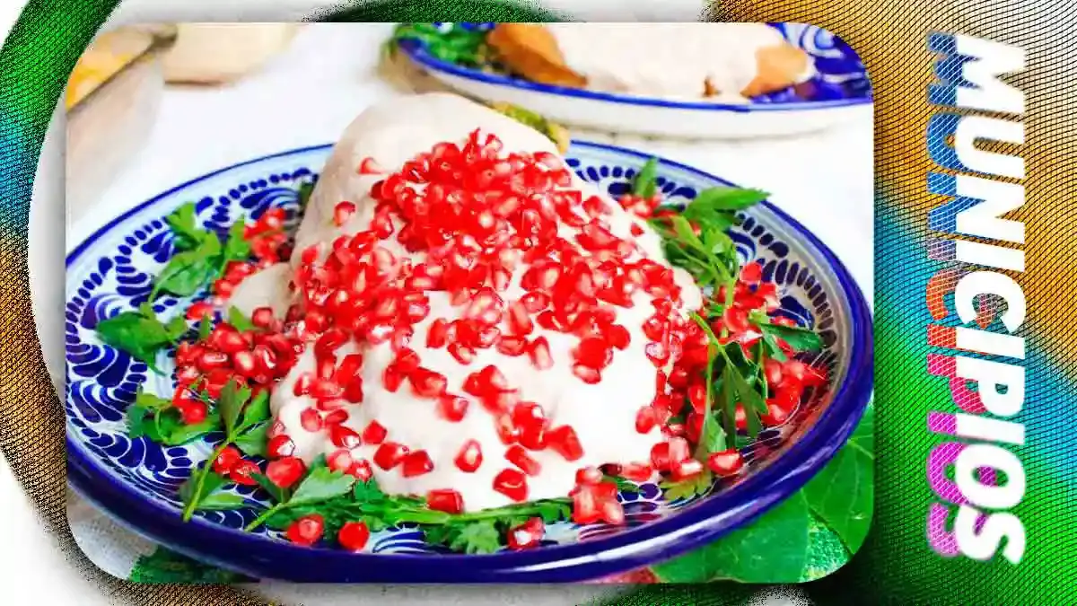 Festival del Chile en Nogada de Puebla busca romper récord mundial