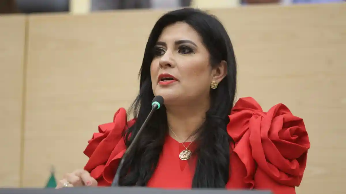 Diputada Delfina Pozos propone reformar el Código Penal para garantizar mayor protección a víctimas de abuso sexual