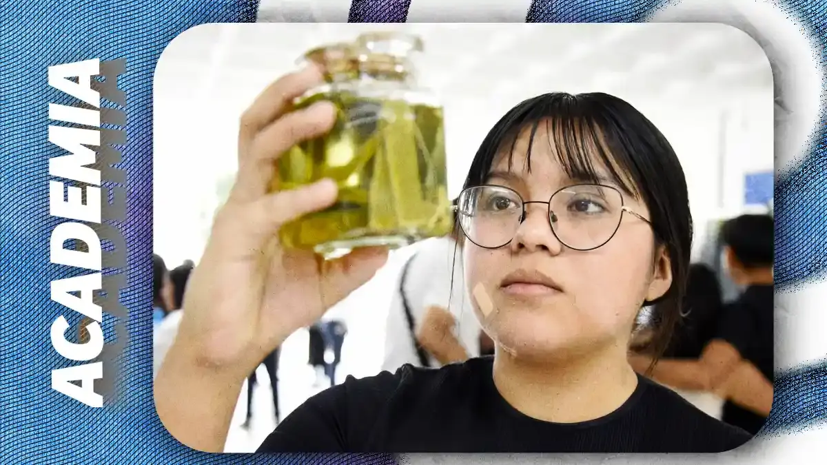 Alumna BUAP propone convertir residuos de agave en fibras para elaborar cubrebocas y mallas de construcción 