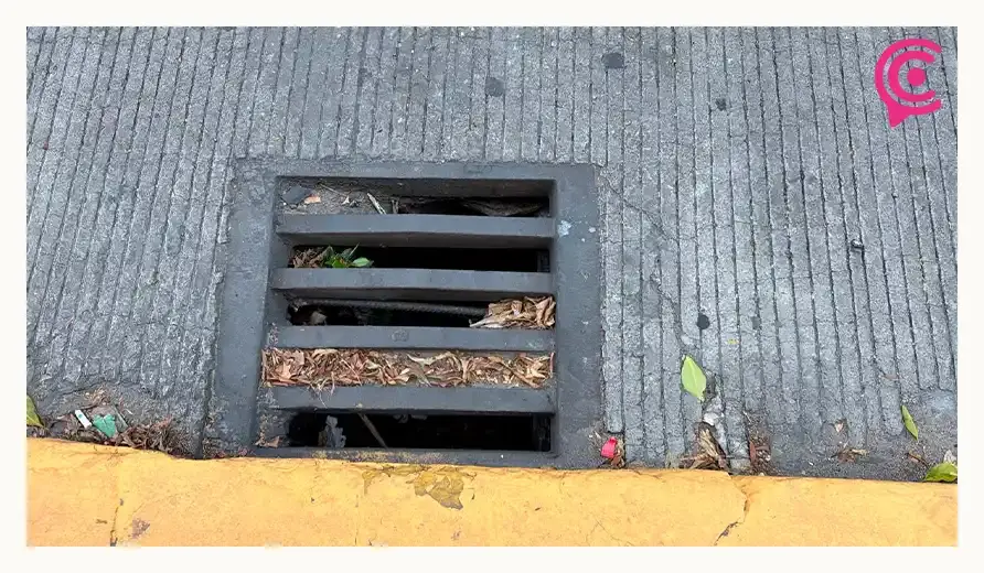 Basura y hojarasca ahogan las alcantarillas del Centro Histórico de Puebla pese a temporada de lluvias