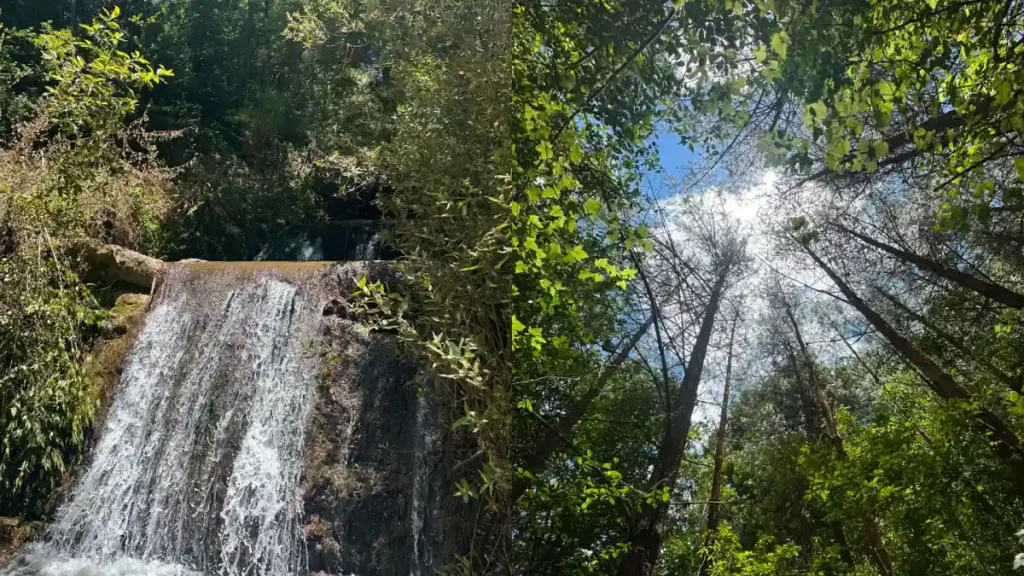 Gobierno de Tehuacán promueve ecoturismo en las Cascadas de Rancho Cabras; buscan impulsar atractivos naturales y economía local